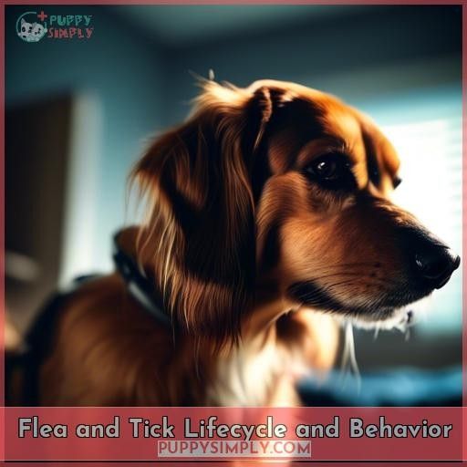 Flea and Tick Lifecycle and Behavior