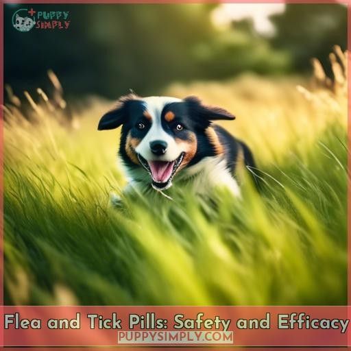 Flea and Tick Pills: Safety and Efficacy