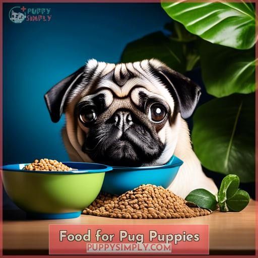 Food for Pug Puppies