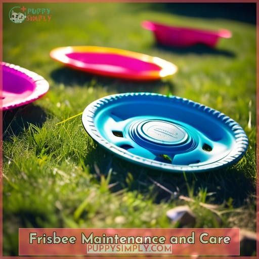 Frisbee Maintenance and Care