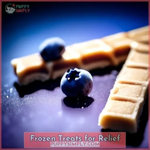 Frozen Treats for Relief