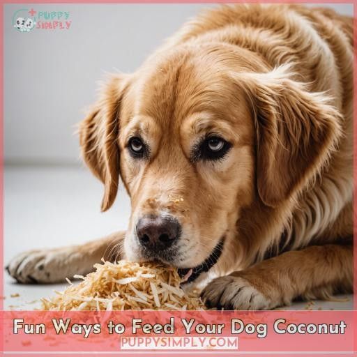 Fun Ways to Feed Your Dog Coconut