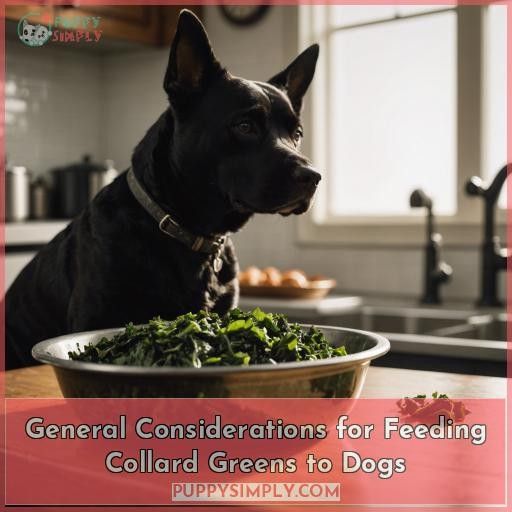 General Considerations for Feeding Collard Greens to Dogs