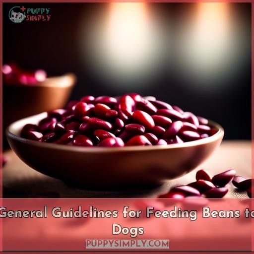 General Guidelines for Feeding Beans to Dogs
