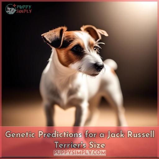 Genetic Predictions for a Jack Russell Terrier