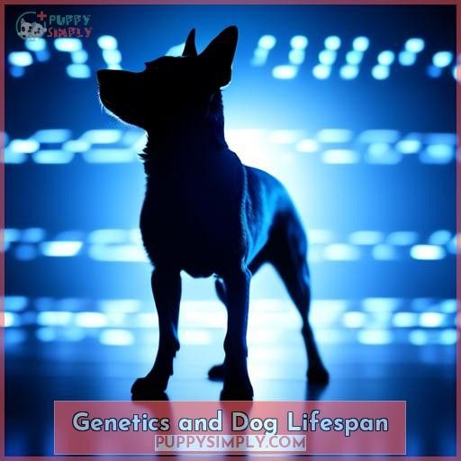 Genetics and Dog Lifespan