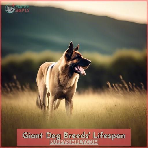 Giant Dog Breeds