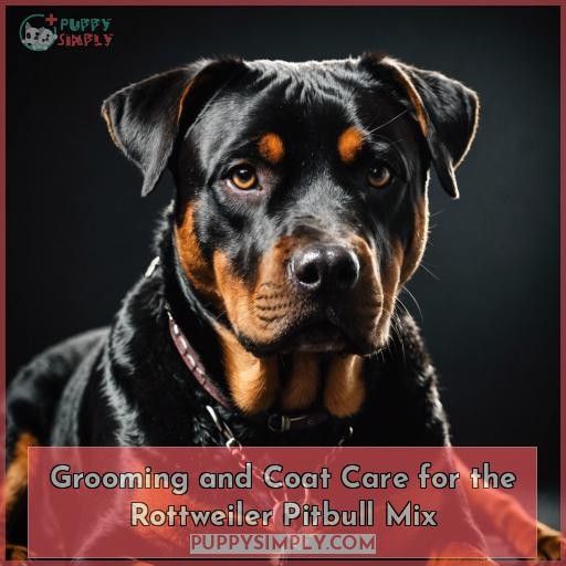 Grooming and Coat Care for the Rottweiler Pitbull Mix
