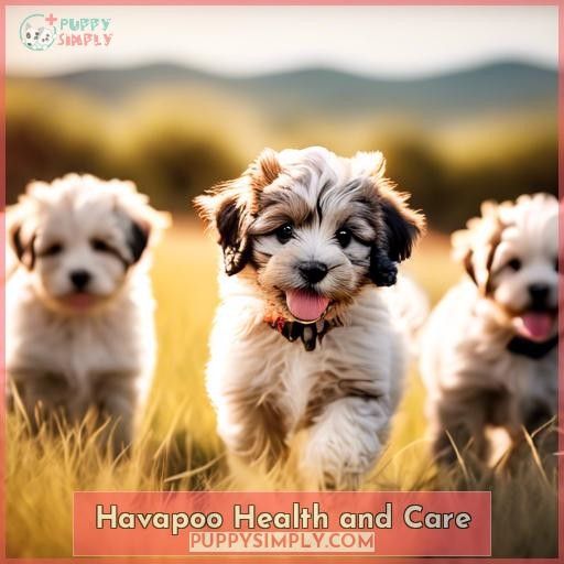 Havapoo Health and Care