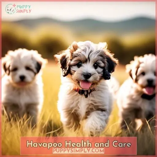 Havapoo Health and Care