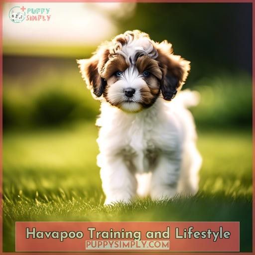 Havapoo Training and Lifestyle