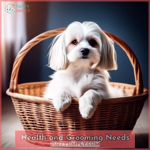Health and Grooming Needs