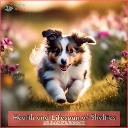 Health and Lifespan of Shelties
