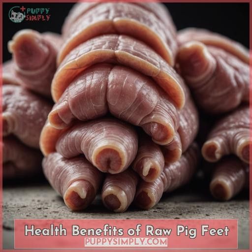 Health Benefits of Raw Pig Feet