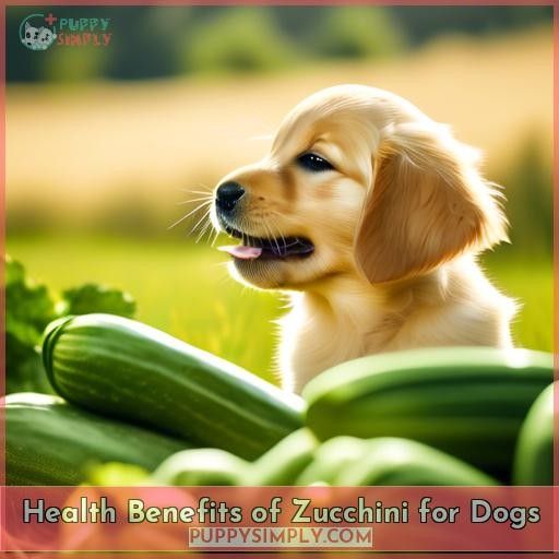 Health Benefits of Zucchini for Dogs