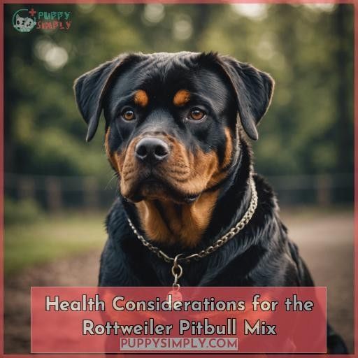 Health Considerations for the Rottweiler Pitbull Mix