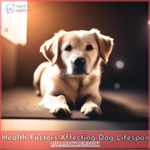 Health Factors Affecting Dog Lifespan