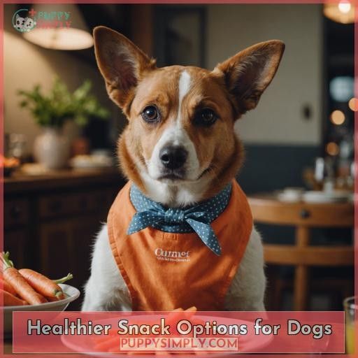 Healthier Snack Options for Dogs