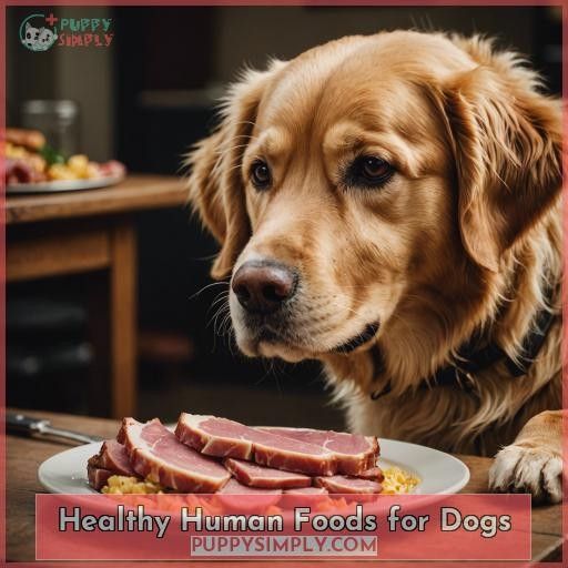 Healthy Human Foods for Dogs