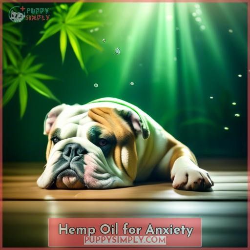 Hemp Oil for Anxiety
