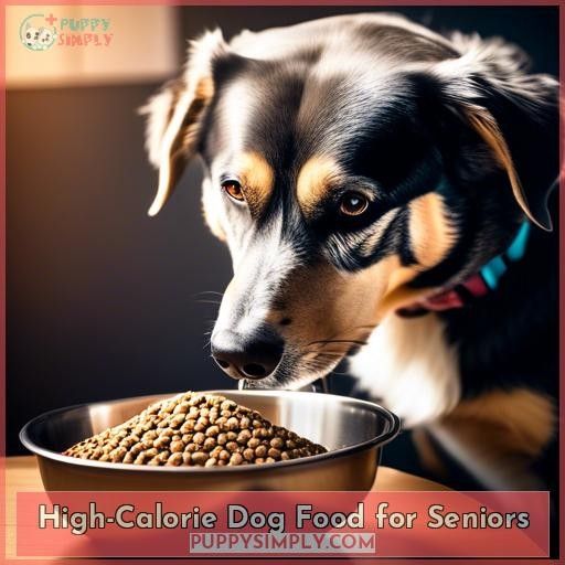 High-Calorie Dog Food for Seniors