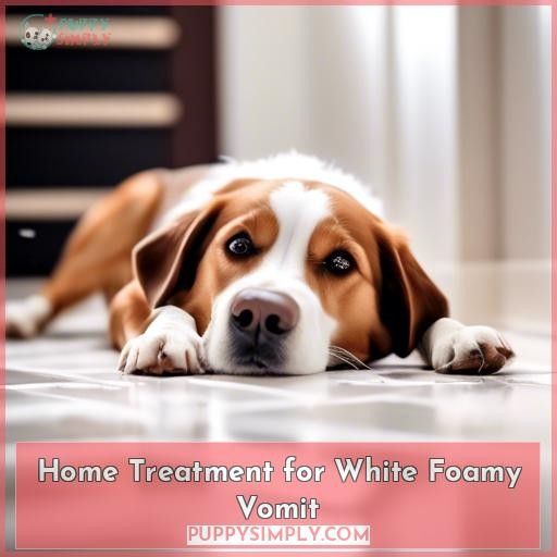 Home Treatment for White Foamy Vomit