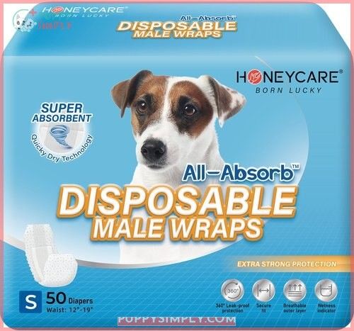 Honey Care All-Absorb Disposable Male