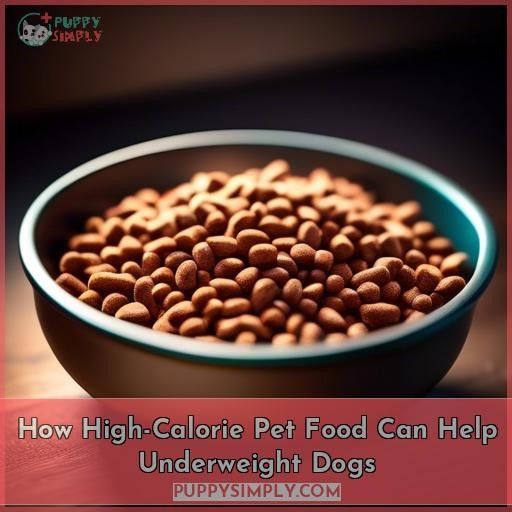 How High-Calorie Pet Food Can Help Underweight Dogs