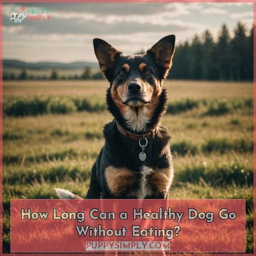How Long Can a Healthy Dog Go Without Eating
