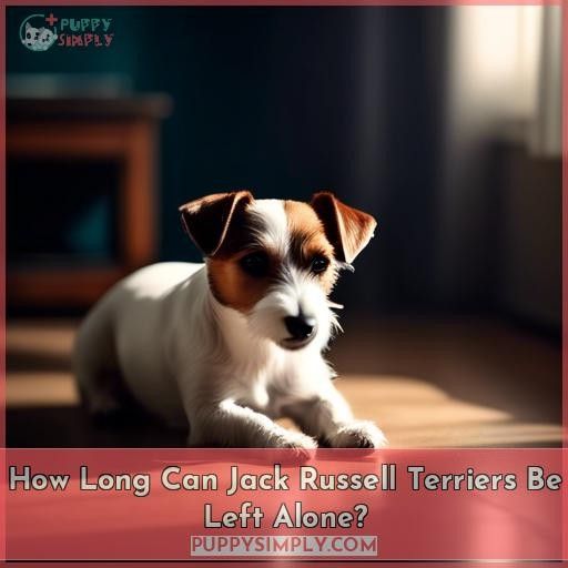 How Long Can Jack Russell Terriers Be Left Alone