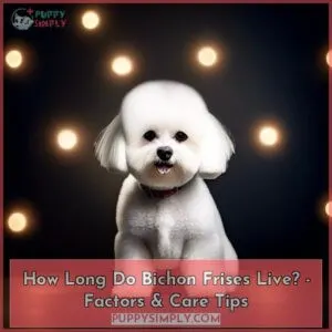 how long do bichon frises live