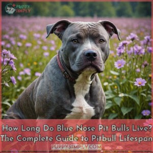 how long do blue nose pit bulls live