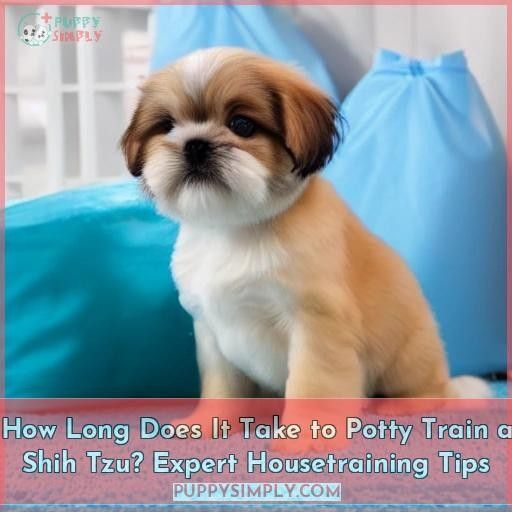 How Long Does It Take to Potty Train a Shih Tzu? Expert Housetraining Tips