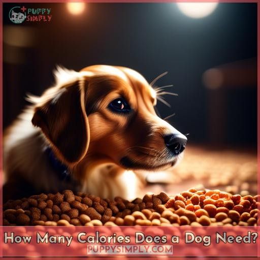 How Many Calories Does a Dog Need