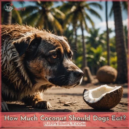 How Much Coconut Should Dogs Eat