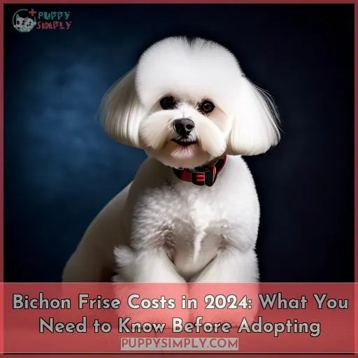 how much does a bichon frise cost