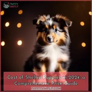 how much does a sheltie puppy cost