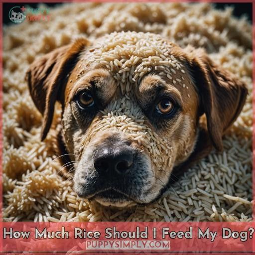 How Much Rice Should I Feed My Dog