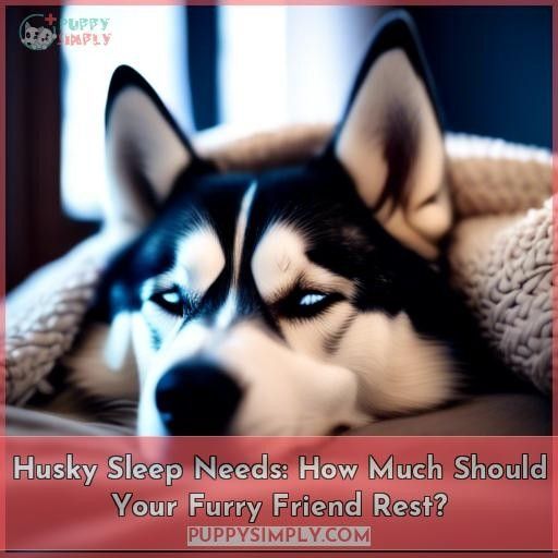 how much sleep should a husky have how much sleep should a husky have