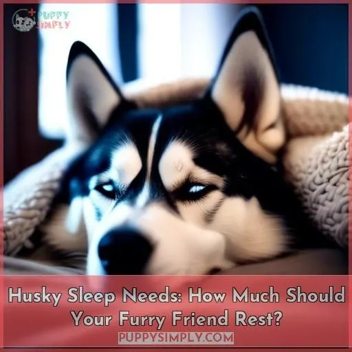 how much sleep should a husky have