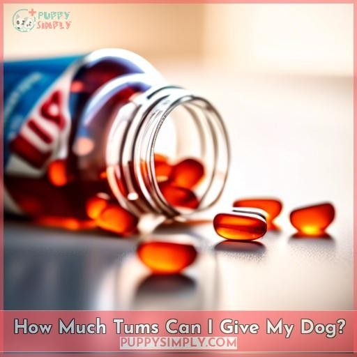 How Much Tums Can I Give My Dog