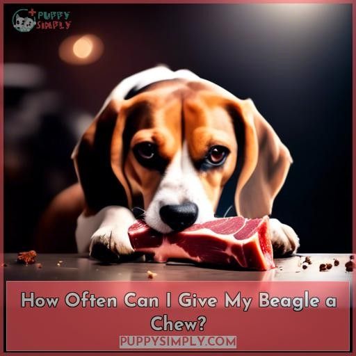 How Often Can I Give My Beagle a Chew