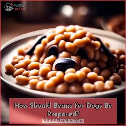 How Should Beans for Dogs Be Prepared