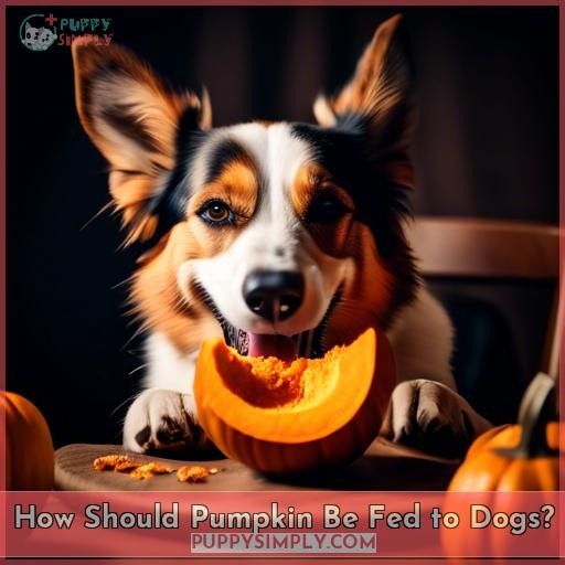 How Should Pumpkin Be Fed to Dogs