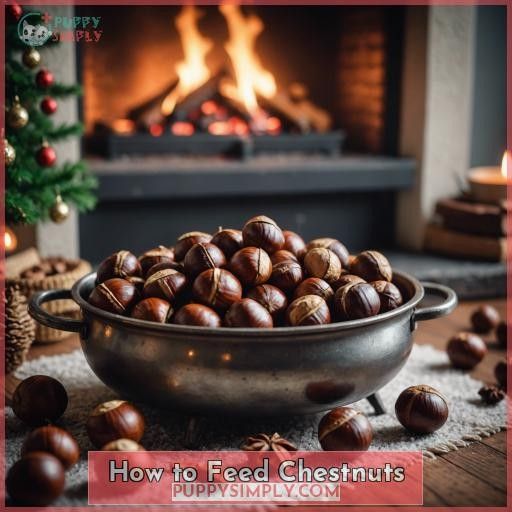 How to Feed Chestnuts