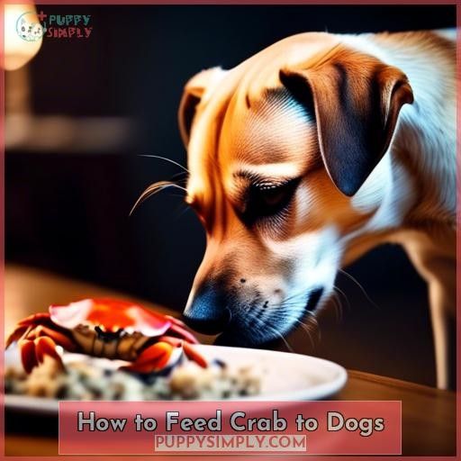 How to Feed Crab to Dogs