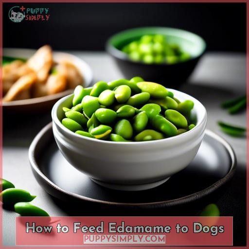 How to Feed Edamame to Dogs