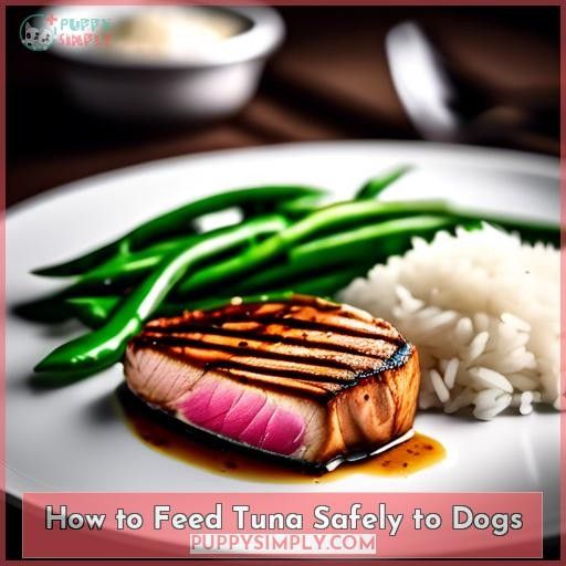 How to Feed Tuna Safely to Dogs