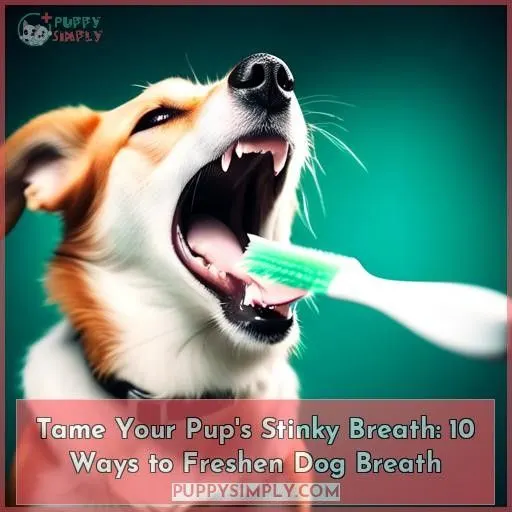 how to freshen dog breath