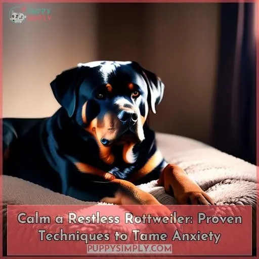 how to get rottweilers to calm down